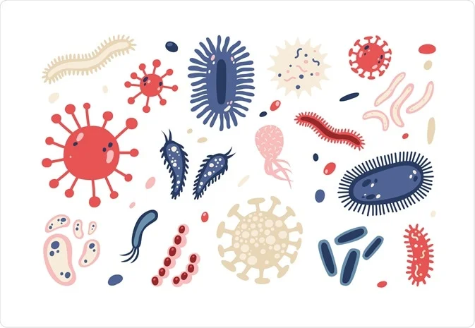 microorganism